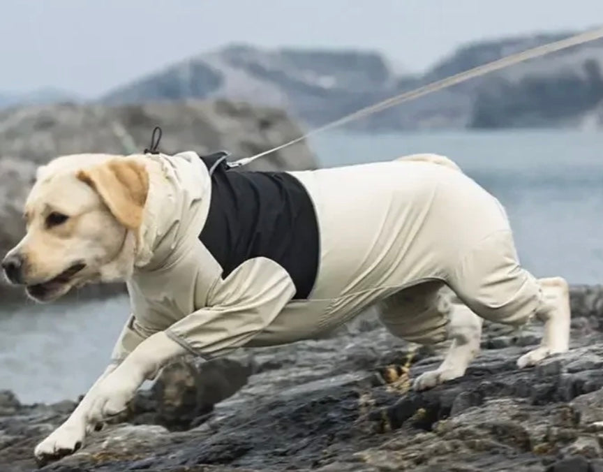 Waterproof Full-Body Dog Jacket – All-Weather Protection